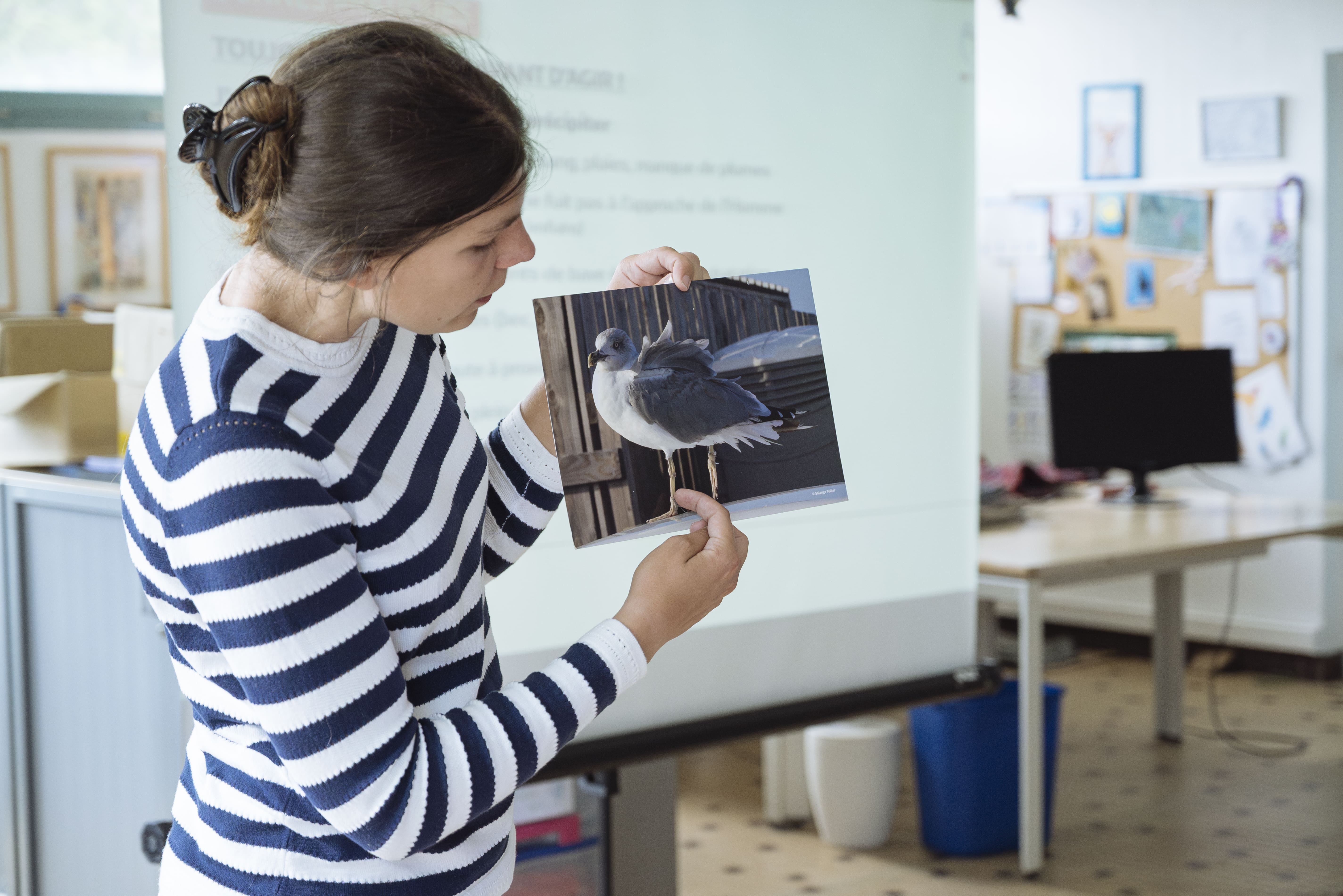 Formation bénévole achemineur